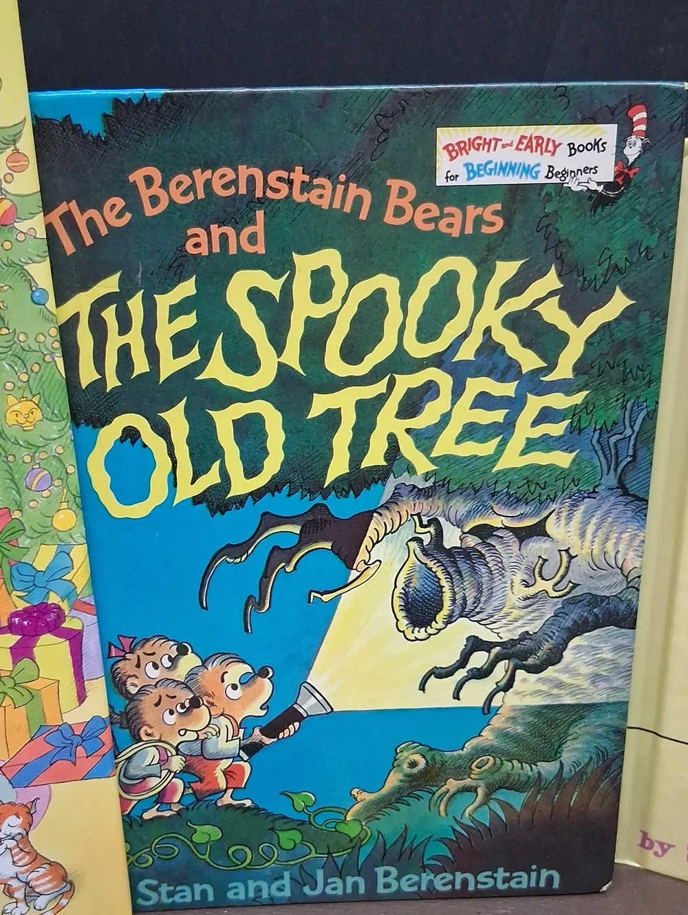 Berenstain Bears‎ Bundle 8 Books, DVD, Tape.
